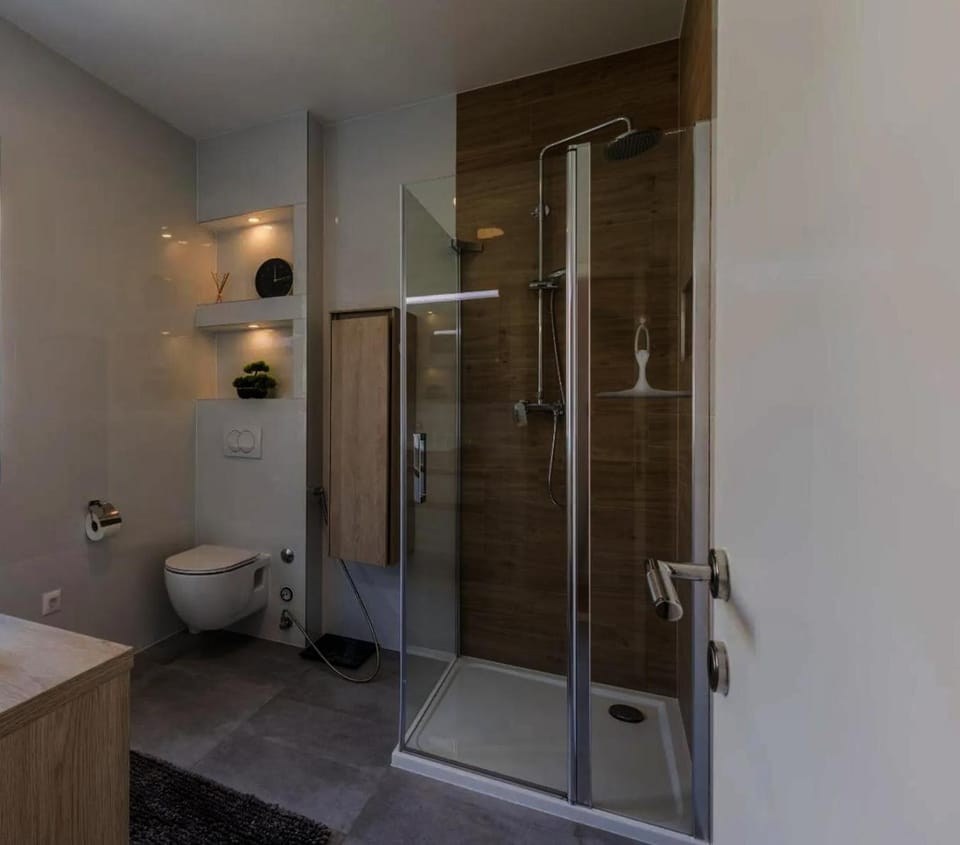 Shower, Toilet, Bathroom, towels