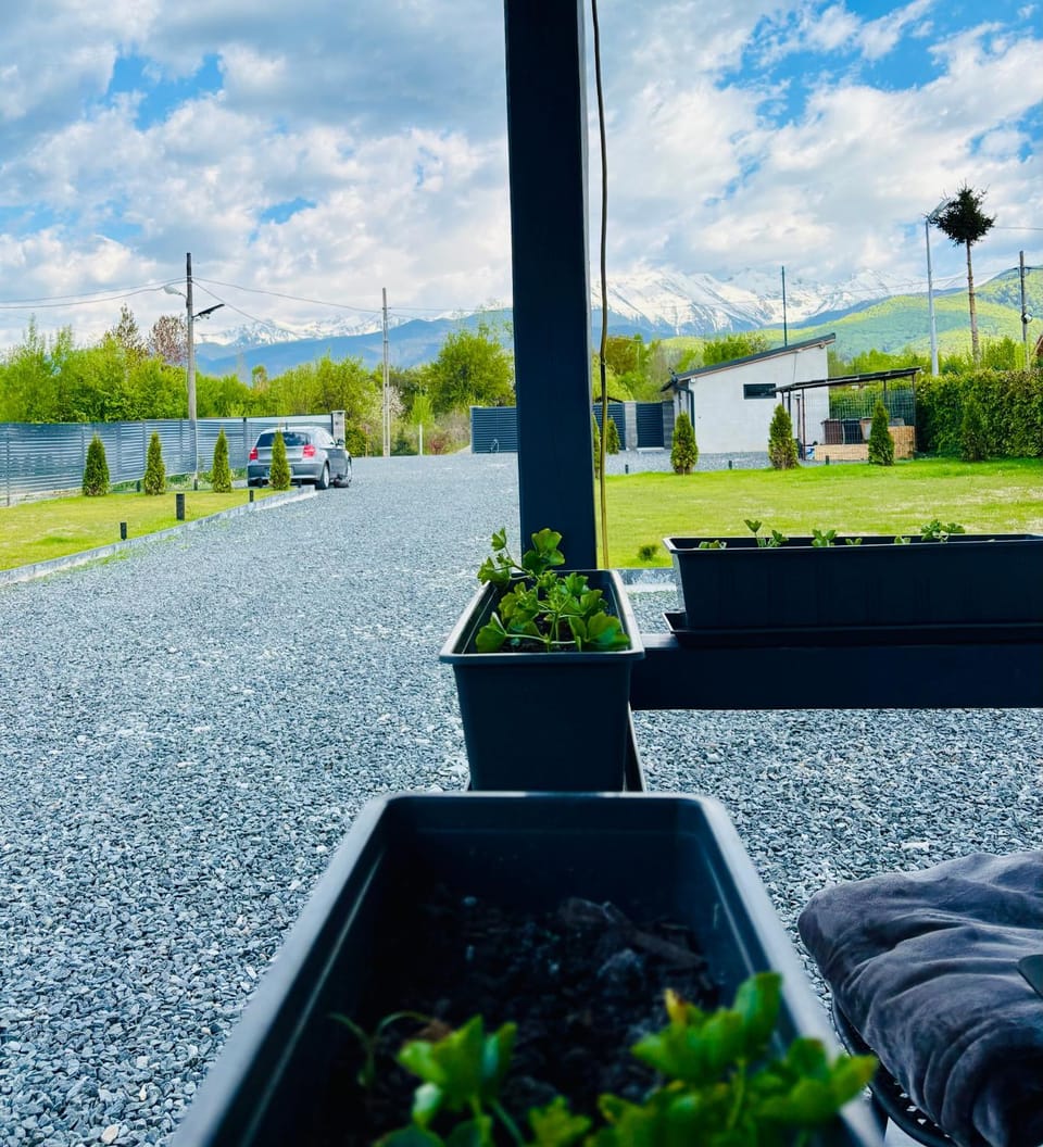 Natural landscape, Garden
