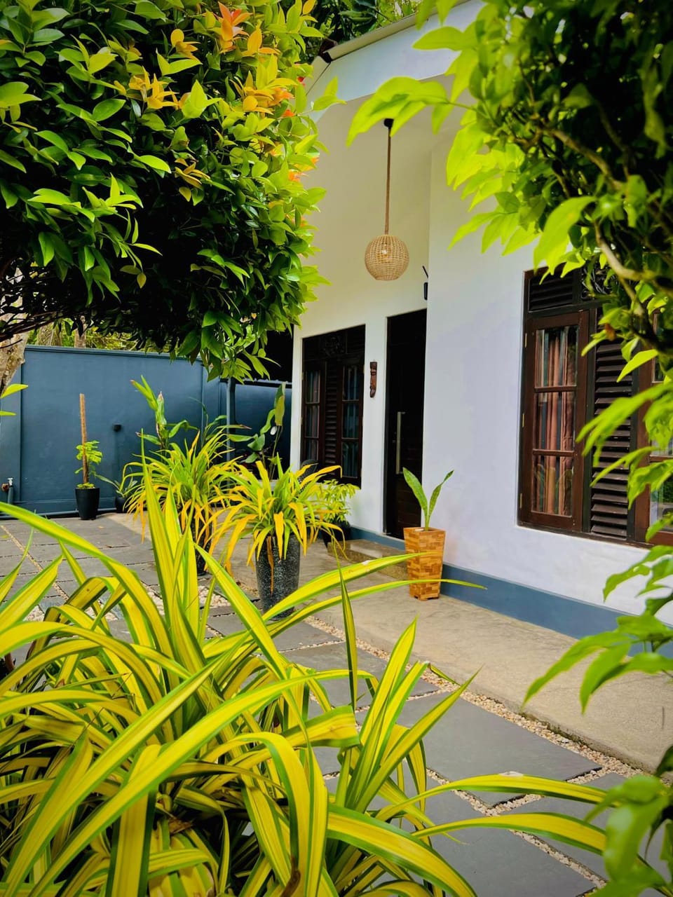 Property building, Day, Garden view