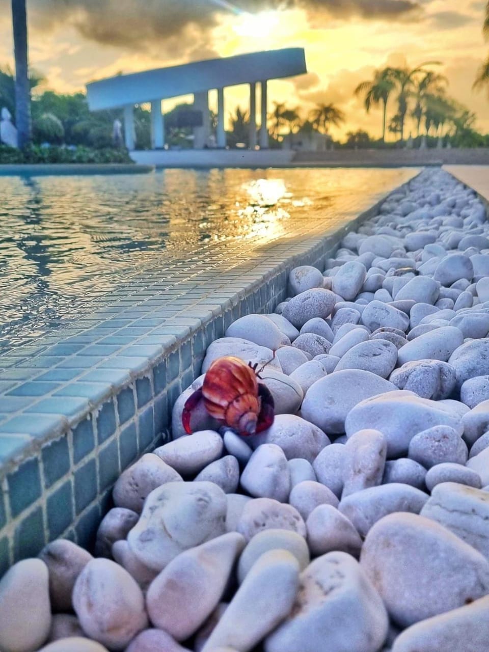 Pool view