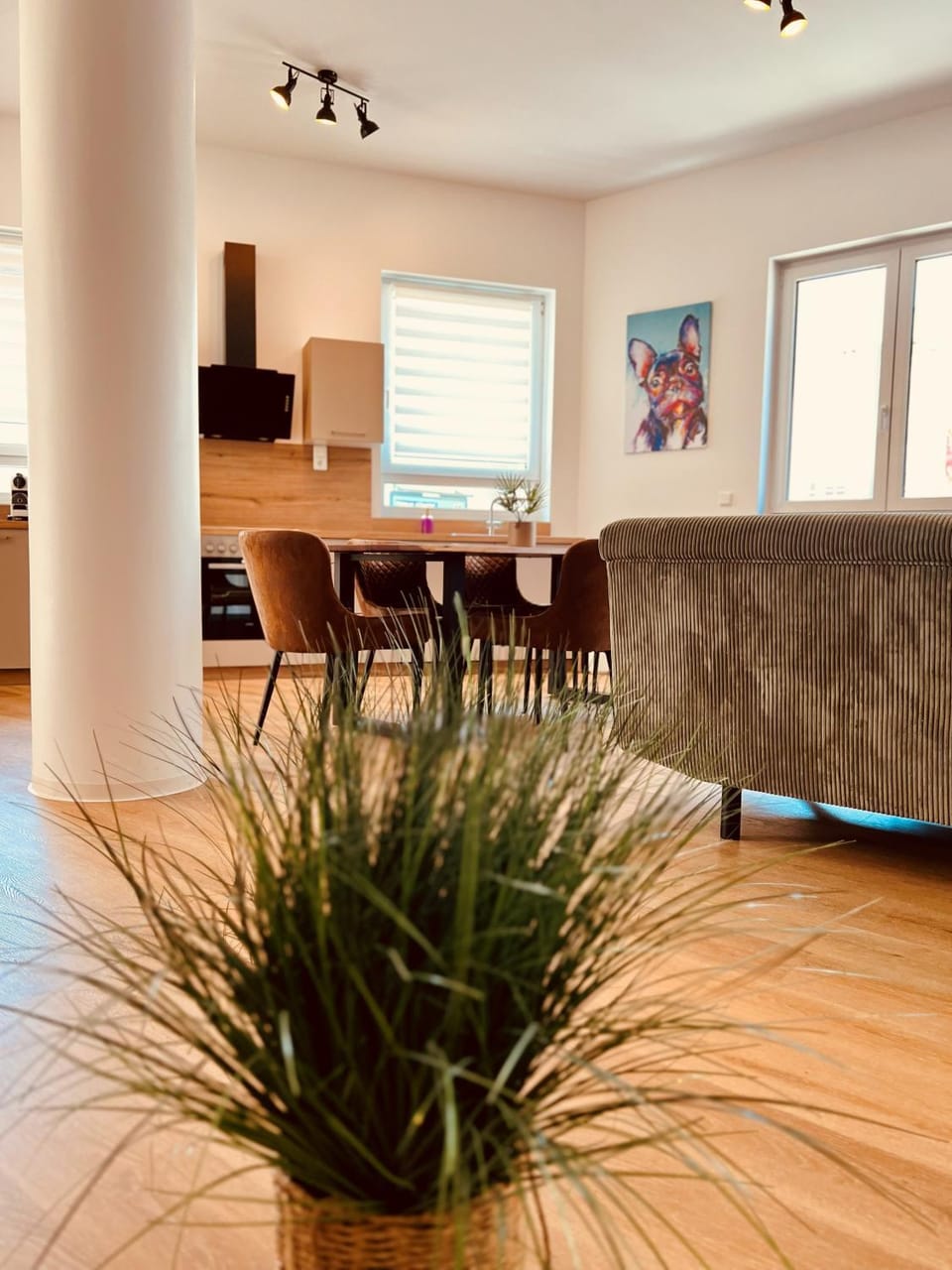 Kitchen or kitchenette, Living room, Seating area, Dining area