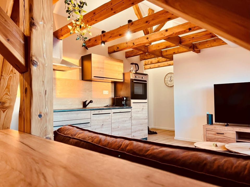 TV and multimedia, Kitchen or kitchenette, Evening entertainment, oven, stove