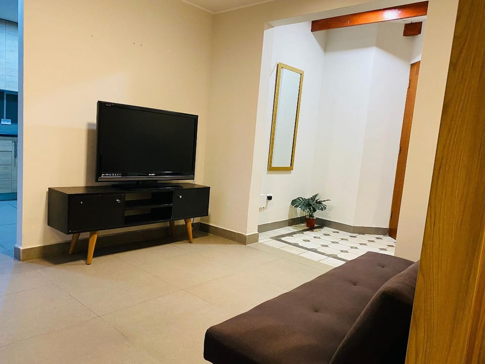 TV and multimedia