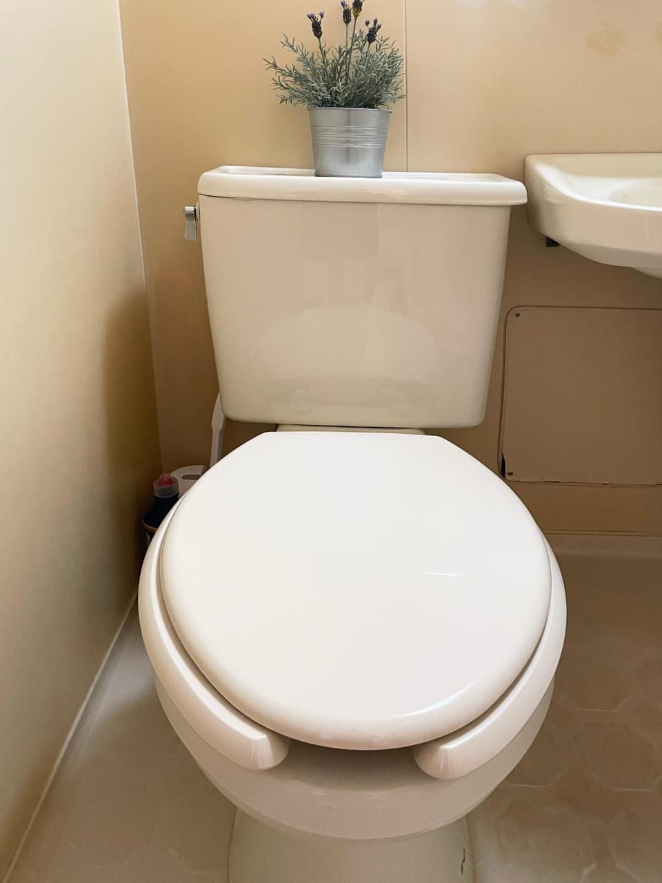Toilet, Bathroom