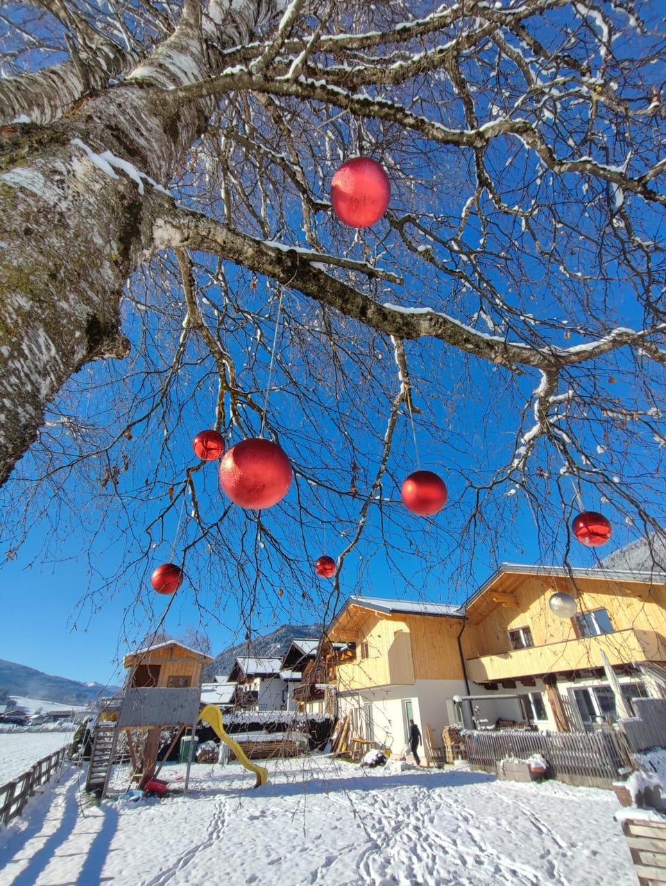 HausTipTop Apartment in Salzburgerland