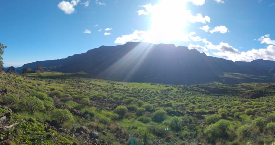 Natural landscape