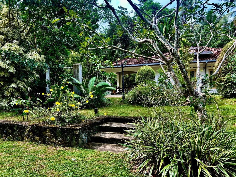 Day, Natural landscape, Garden, Garden view