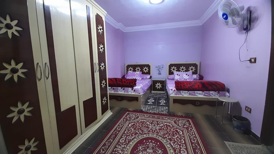 شقه مفروشه غرفتين للإيجار في سموحه اسكندريه Apartment in Alexandria