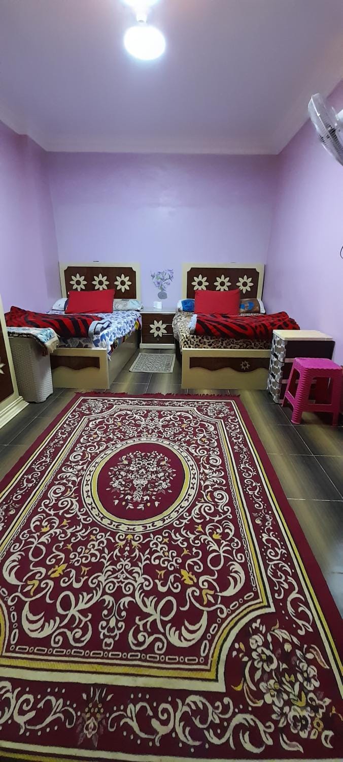 شقه مفروشه غرفتين للإيجار في سموحه اسكندريه Apartment in Alexandria