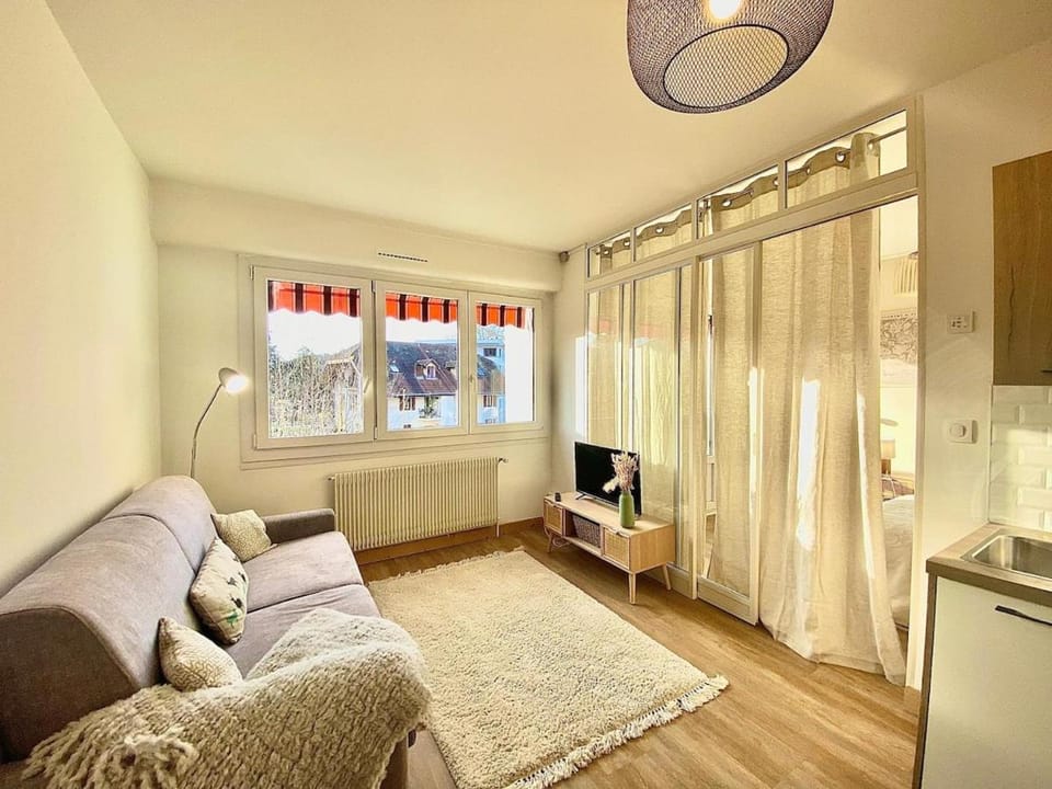 Alpen - 300m de la plage & parking Apartment in Annecy