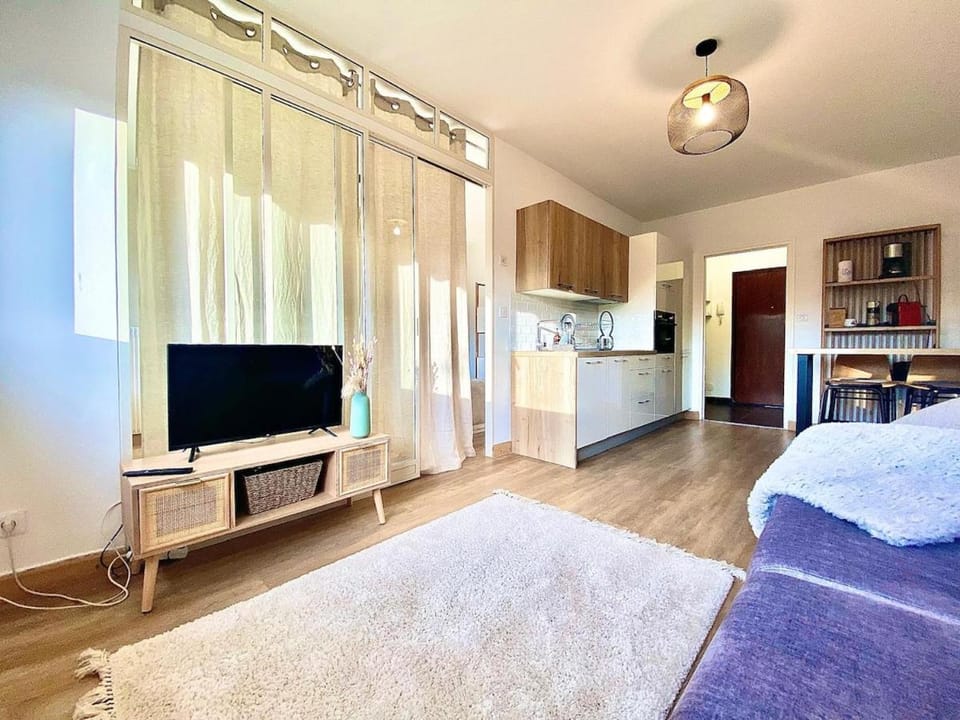 Alpen - 300m de la plage & parking Apartment in Annecy