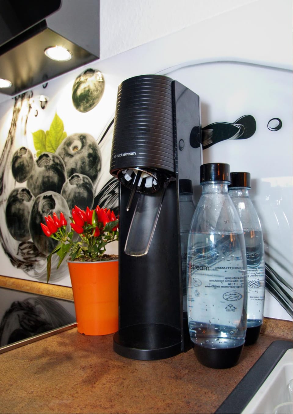 Coffee/tea facilities, Kitchen or kitchenette