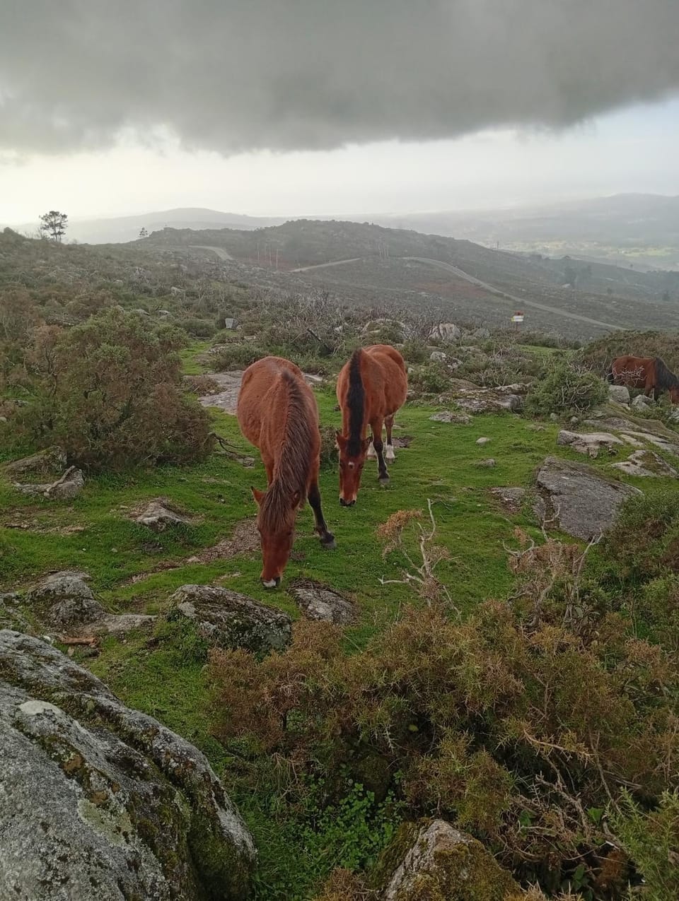 Natural landscape