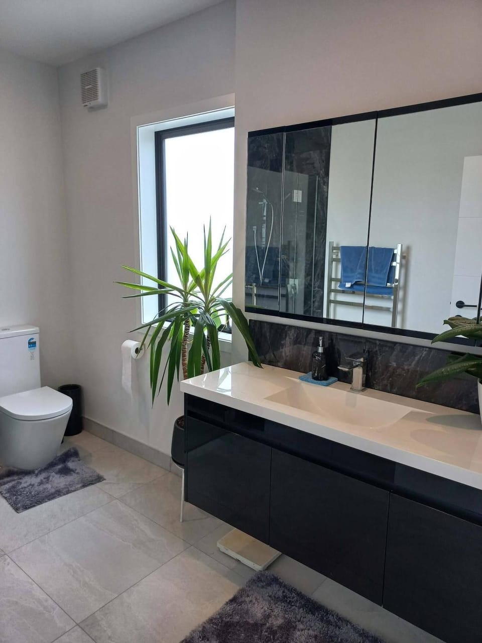 Toilet, Bathroom, Decorative detail