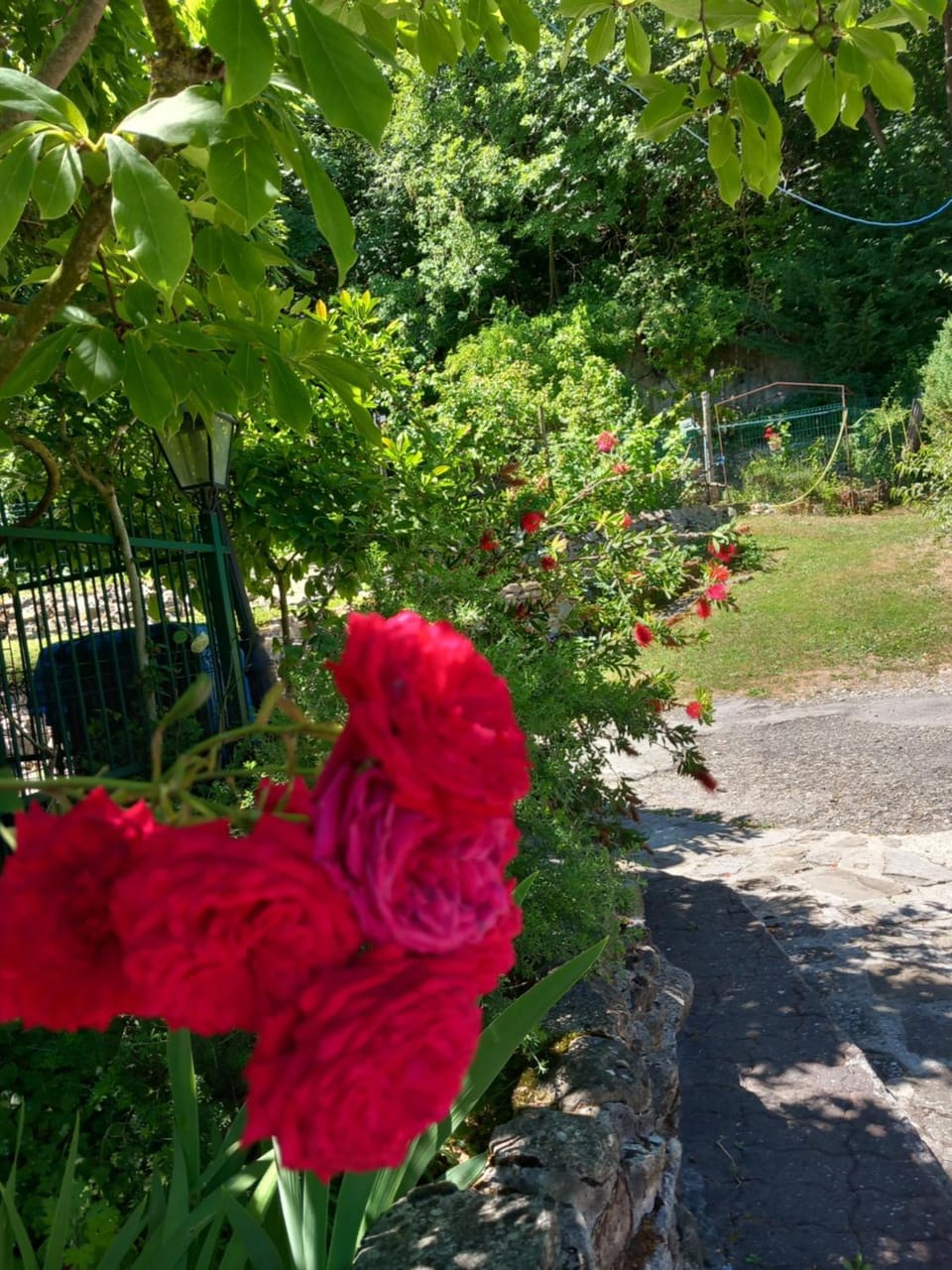 B&B Oasi di pace Bed and Breakfast in Emilia-Romagna
