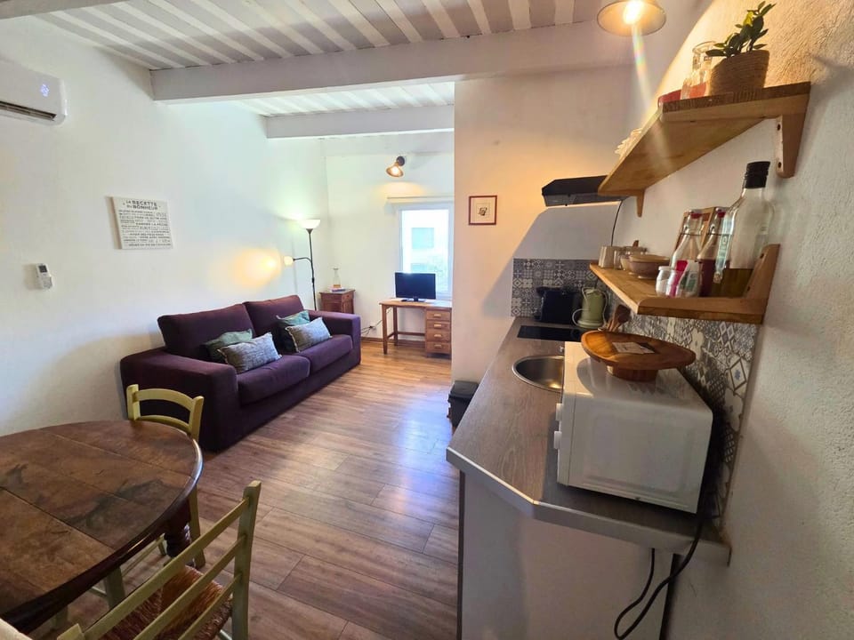 Magnifique appartement au cœur de la Venise Provençale Apartment in L'Isle-sur-la-Sorgue