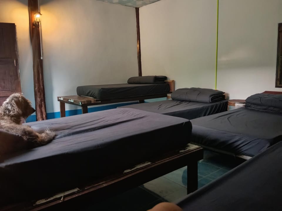 Easy sleep Hostel in Sala Dan