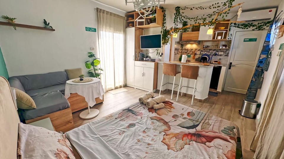 Bed, TV and multimedia, Living room, Decorative detail, Decorative detail, kitchen