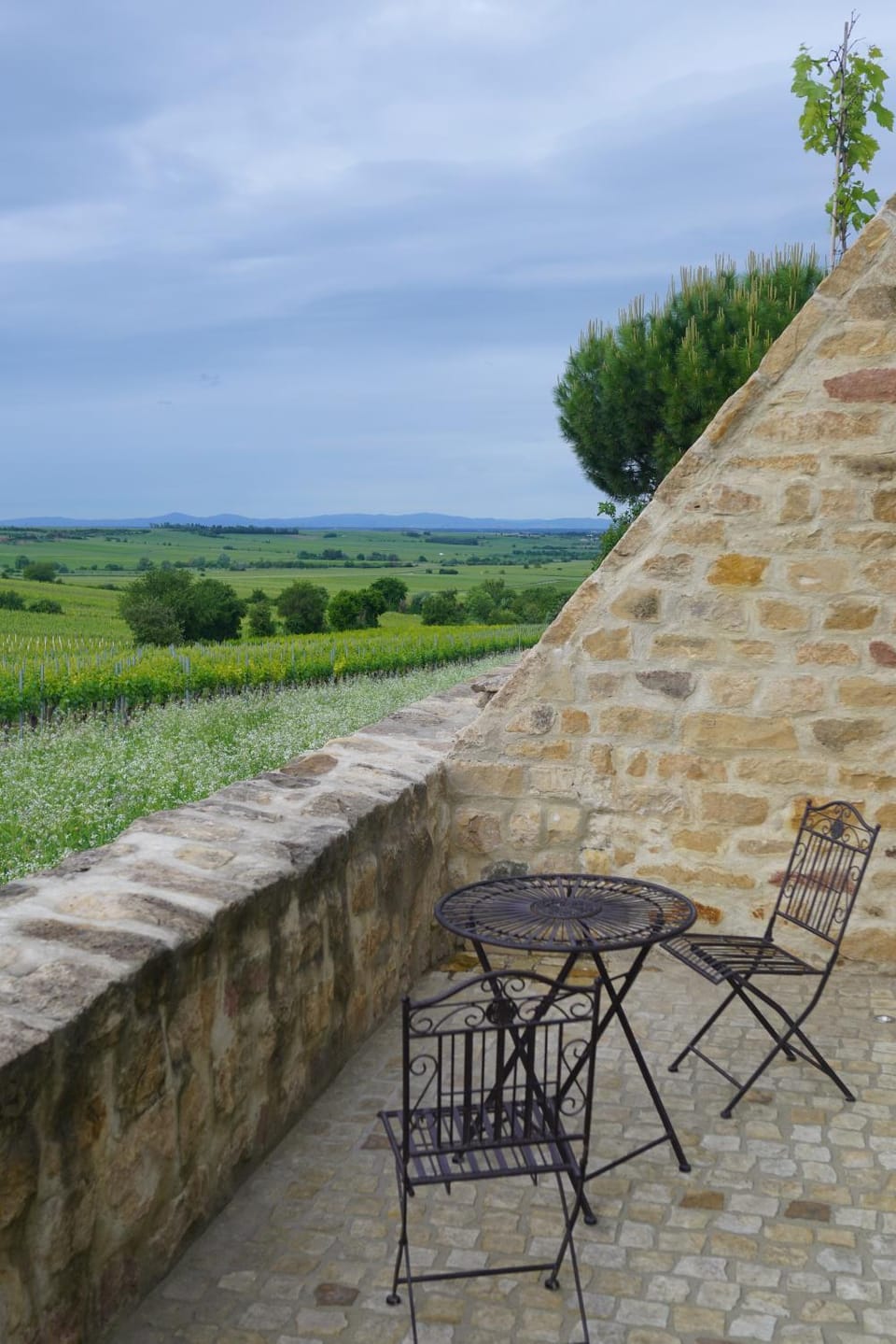 Natural landscape, View (from property/room)