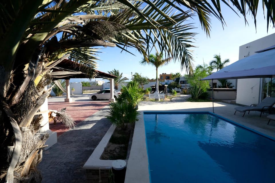 Pool view, Swimming pool