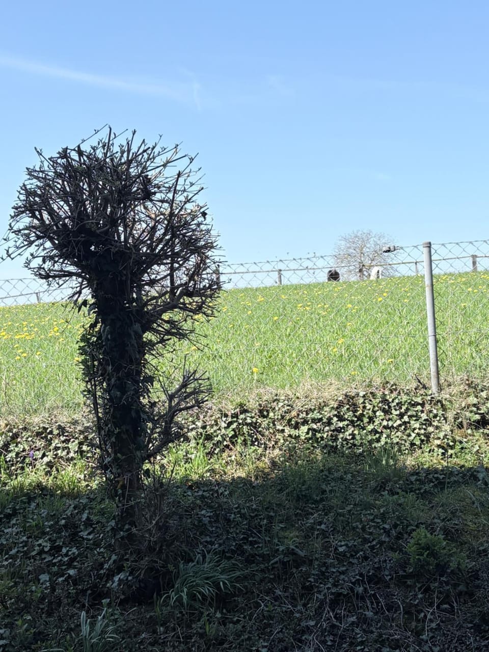 Chiemsee-Perle, stylisches Luxus-Appartement Apartment in Salzburgerland