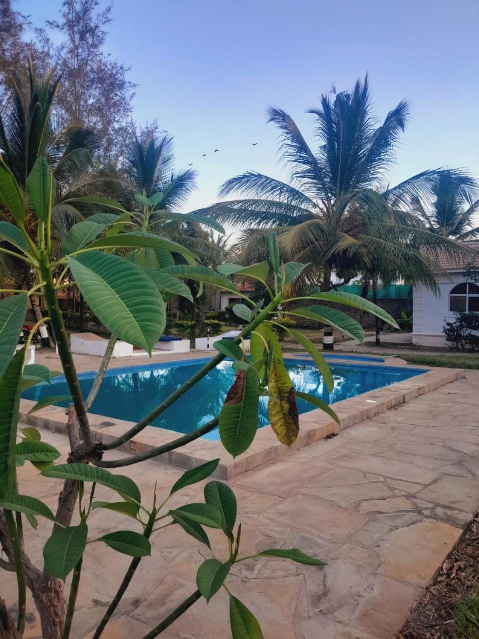 Villa Paradise Villa in Diani Beach