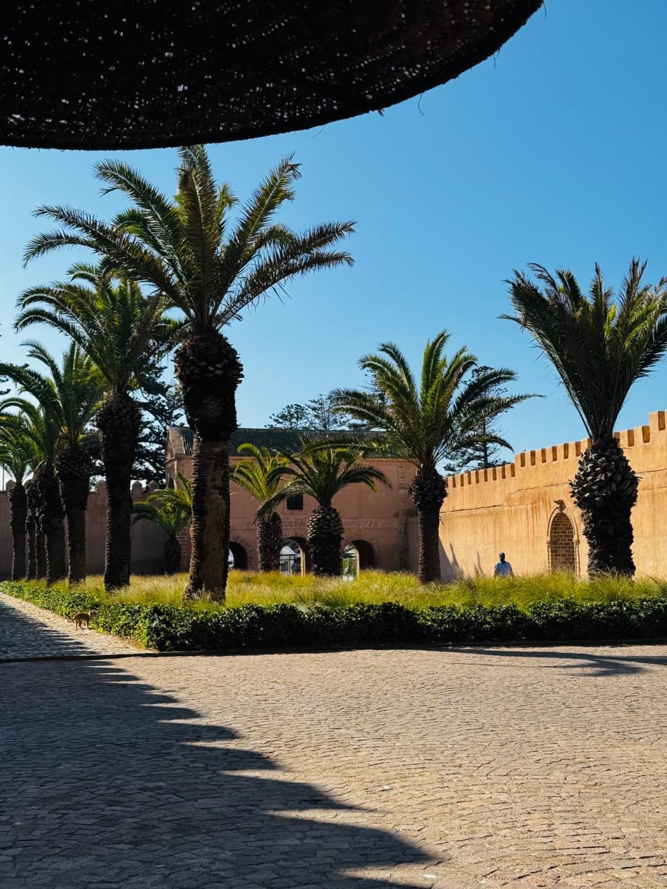 Soho Serenity Argana - Essaouira Apartment in Marrakesh-Safi