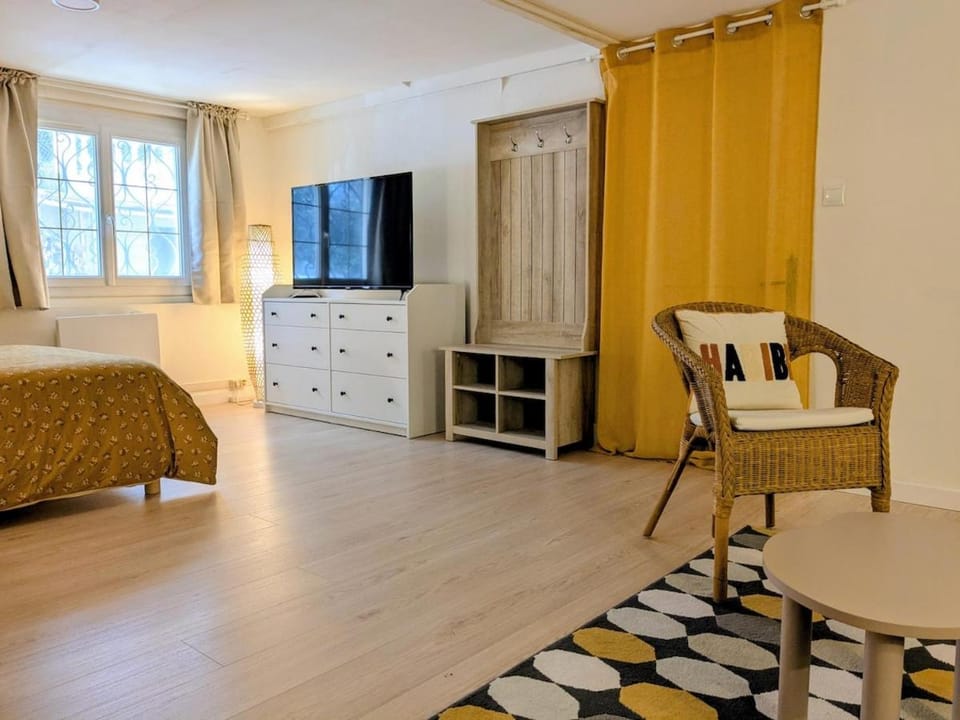 Grande Suite Privée - Entrée indépendante - SDB & WC privatifs Apartment in Centre-Val de Loire