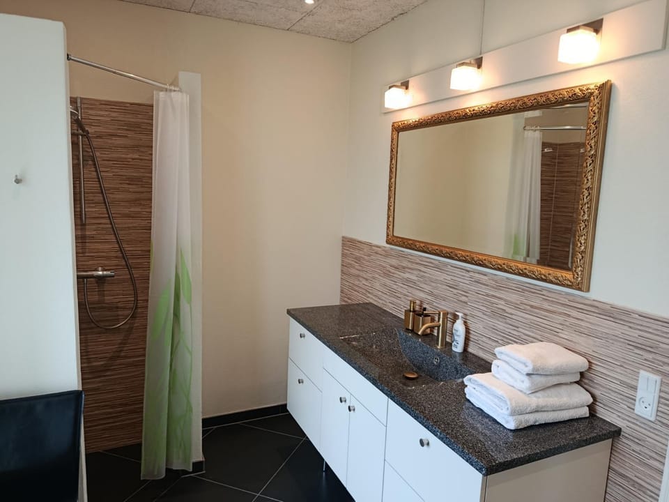Shower, Bathroom, towels