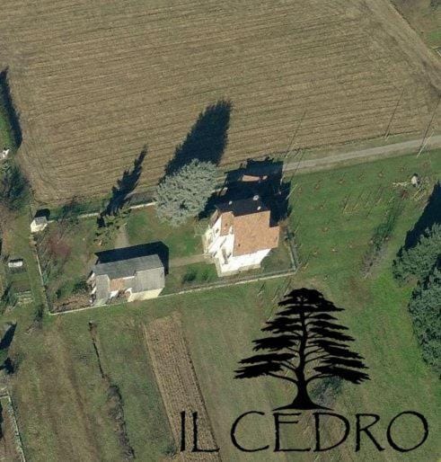 Neighbourhood, Bird's eye view, Garden