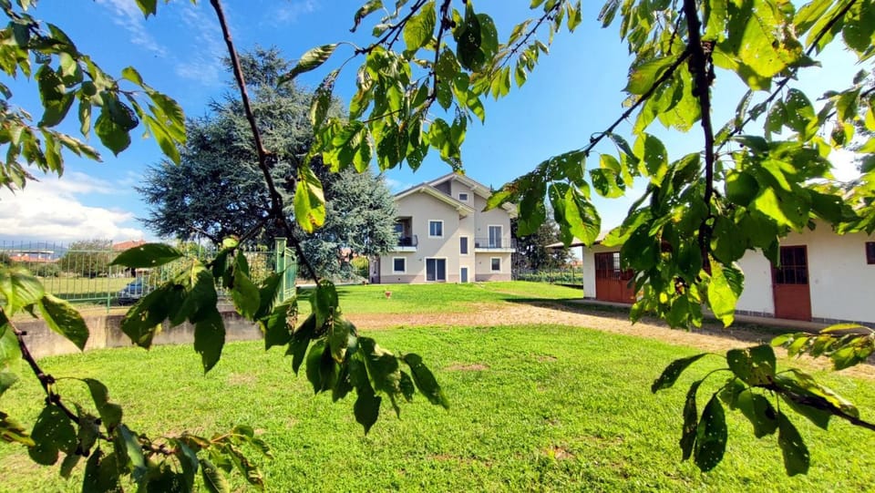 Property building, Garden, Garden
