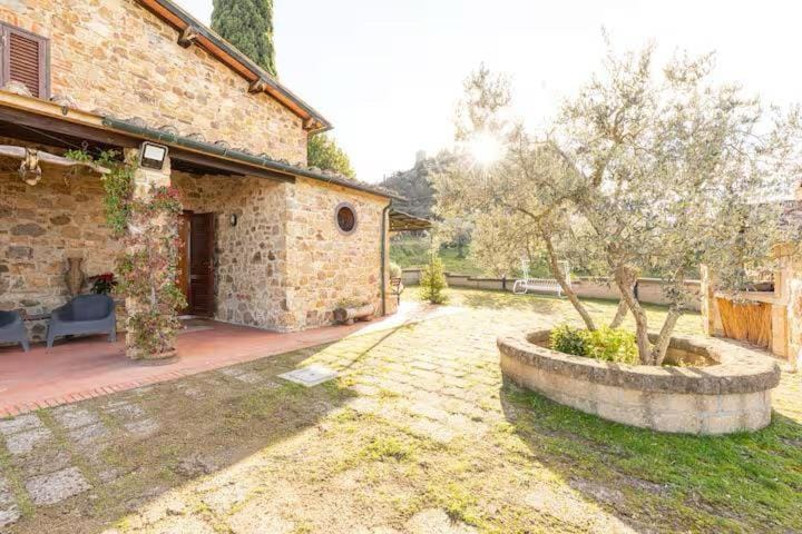 Property building, Garden, Garden, Garden view