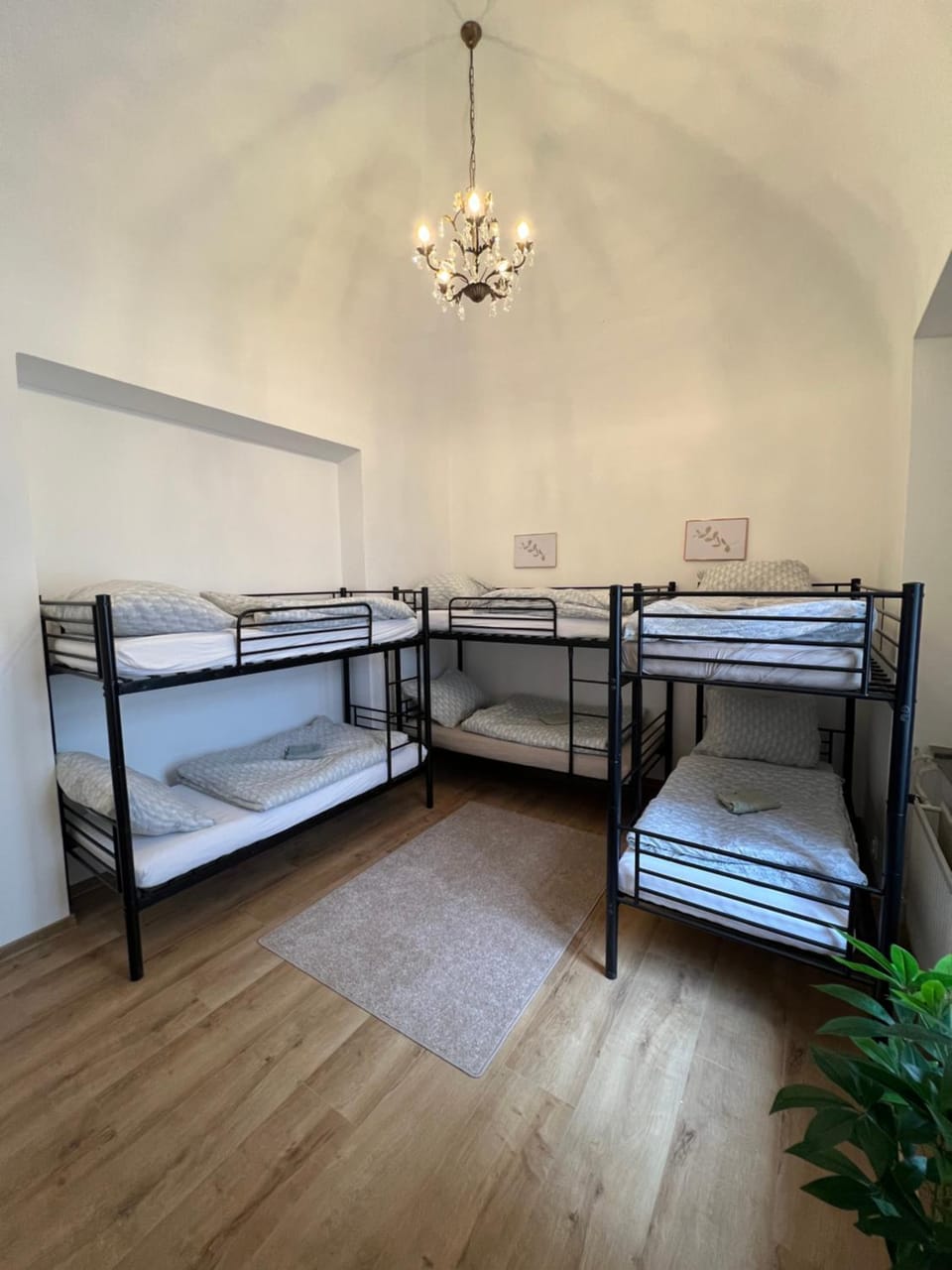 Cassovia Hostel Hostel in Slovakia