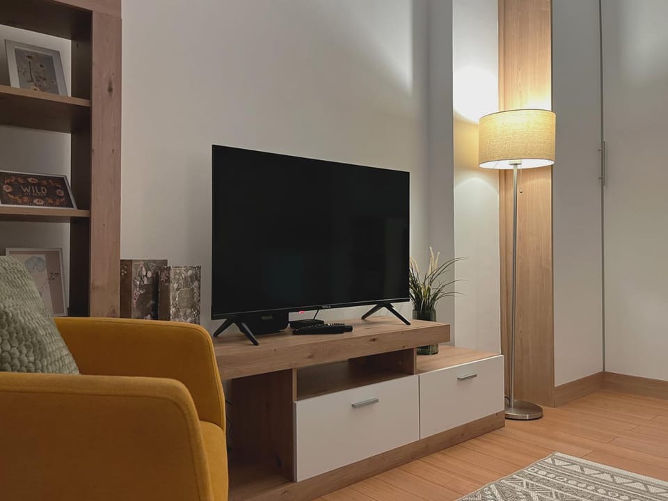 TV and multimedia