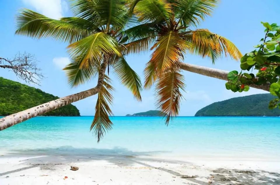 Oceanview Stay - Walk to Beach Apartment in Cruz Bay