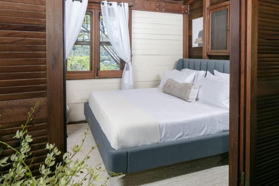 Oceanview Cottage Walk to Beach & Restaurants House in Cruz Bay