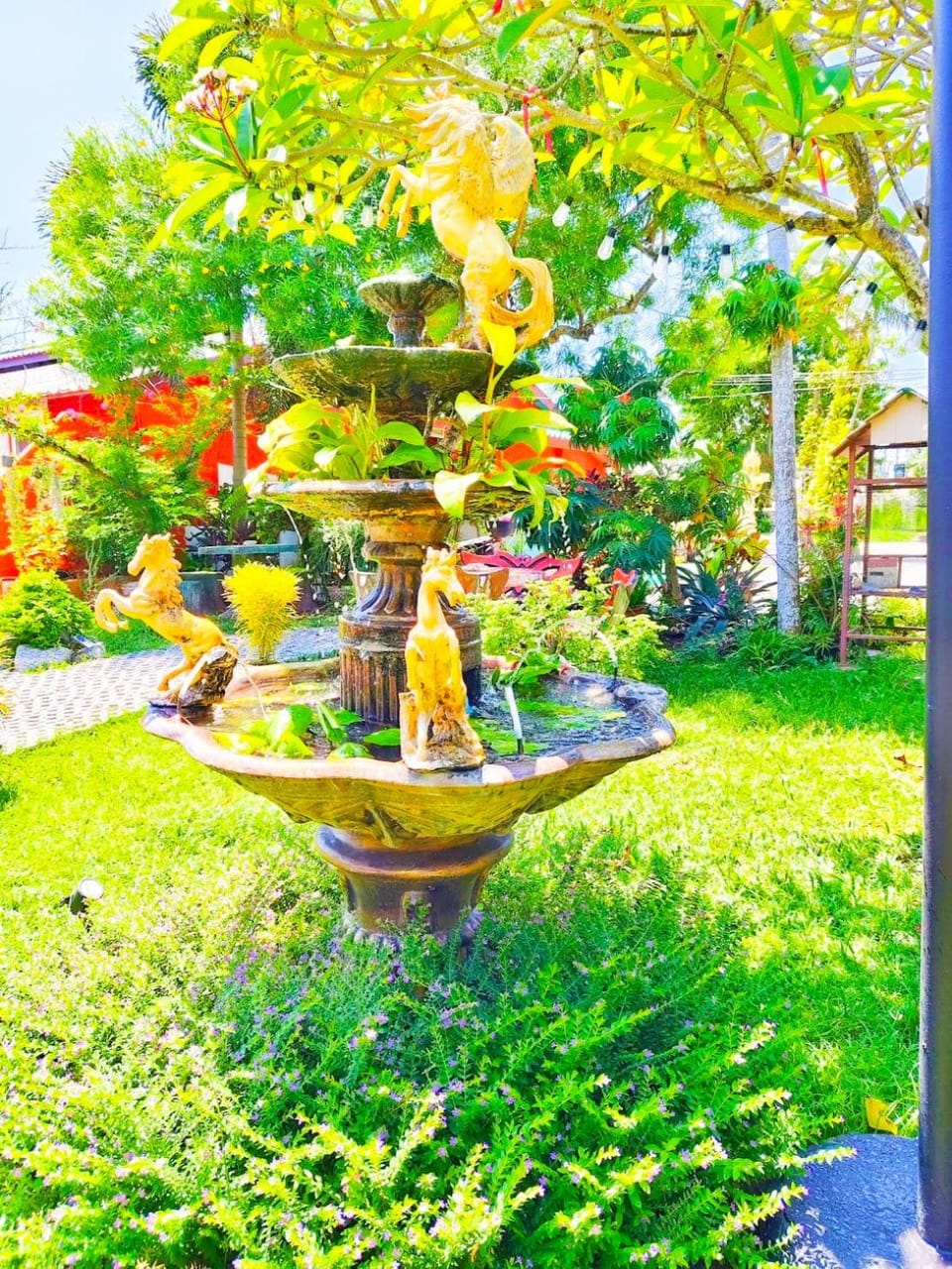 Suki Palm Bed and Breakfast in Chalong