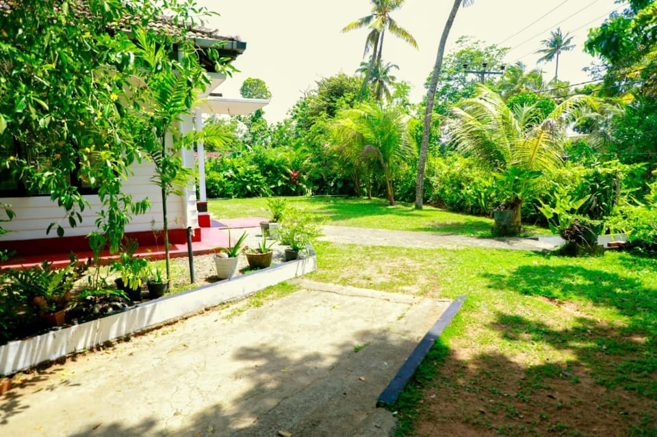 Natural landscape, Garden, Garden, Garden view