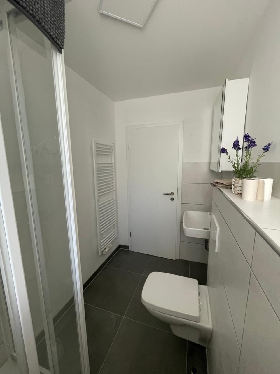 ABC Ferienwohnung Zimmer mit Kochmöglichkeit Apartment in Mayen