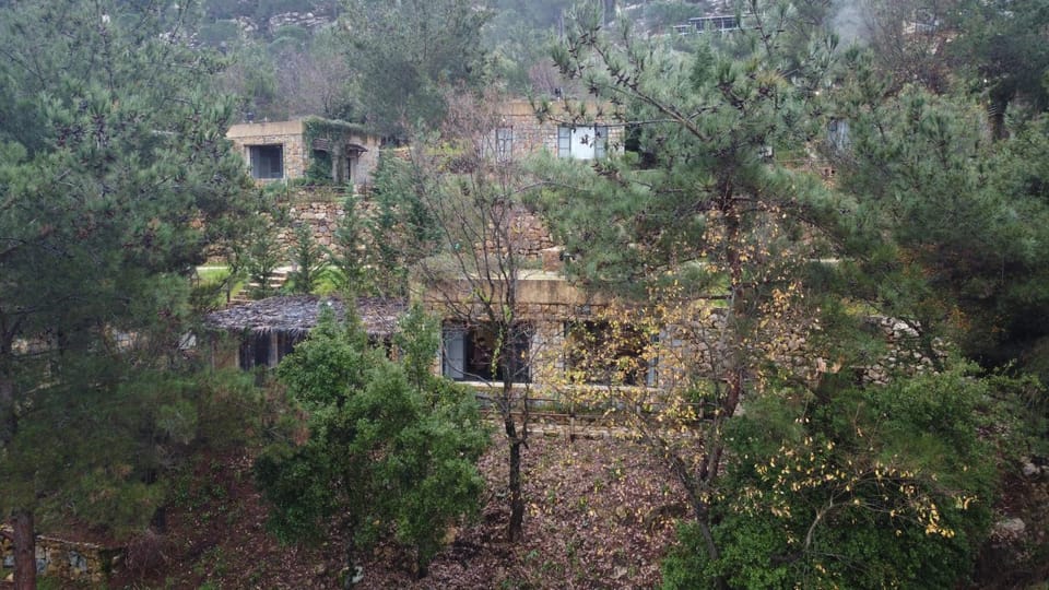 Natural landscape, Garden, Garden view