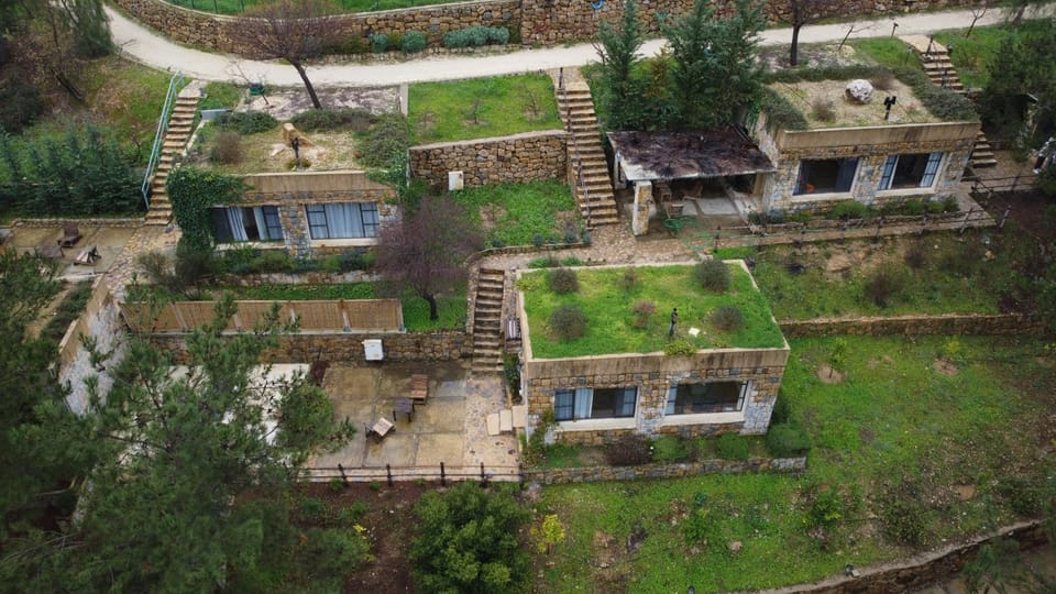 Natural landscape, Garden, Garden view