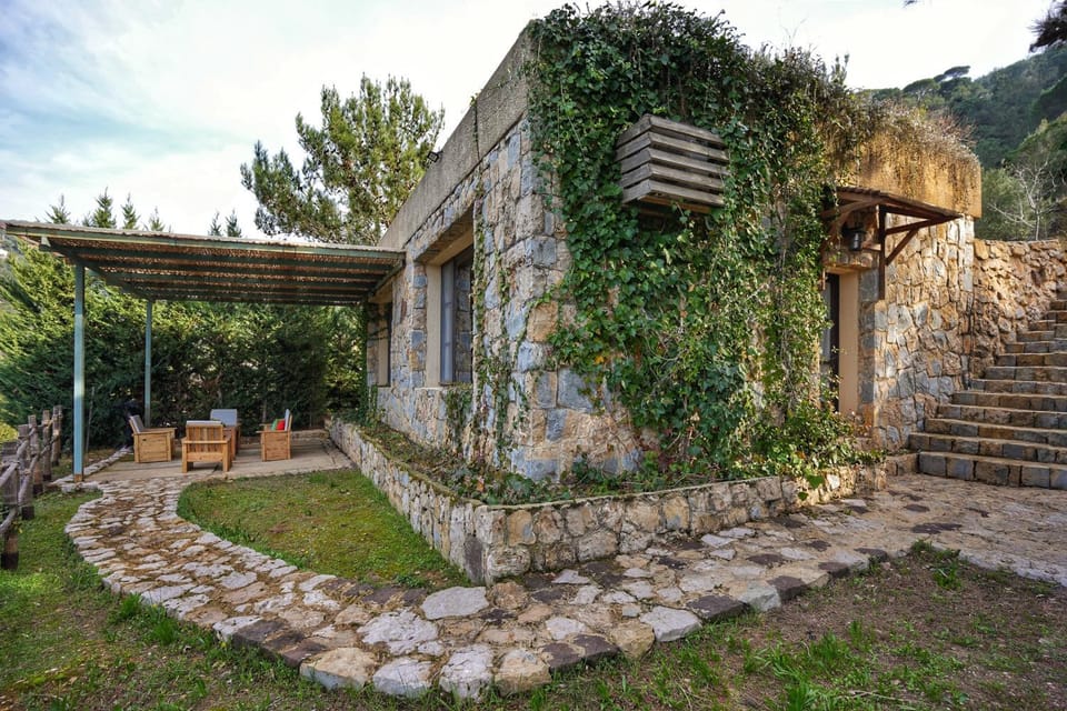 Day, Garden, Garden view