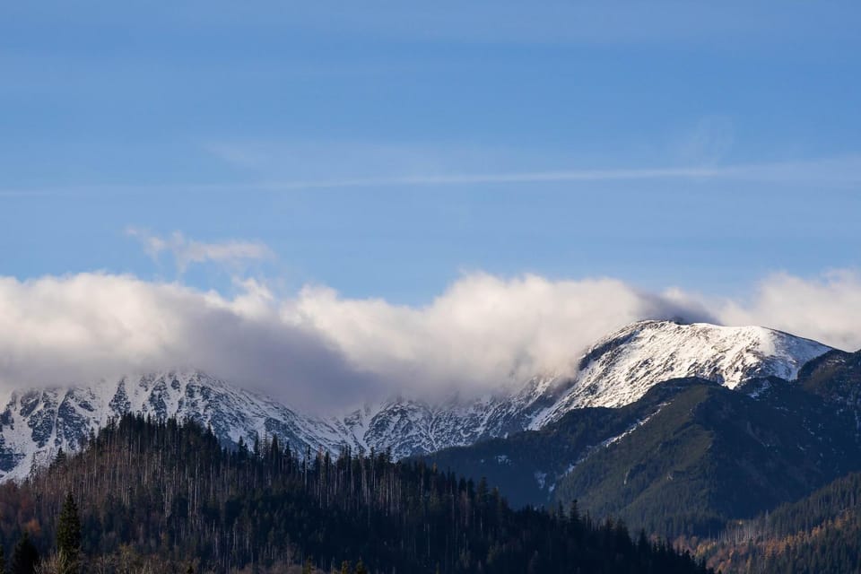 Day, Mountain view