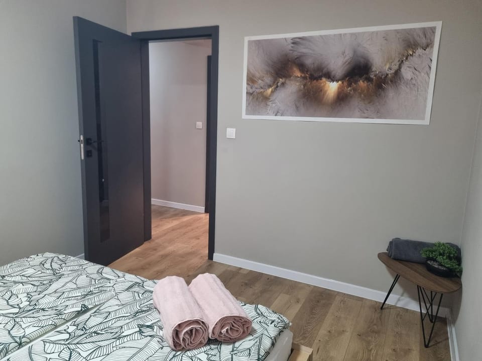 LAVAN Gliwice Apartment in Czechia