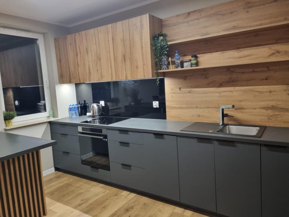 LAVAN Gliwice Apartment in Czechia