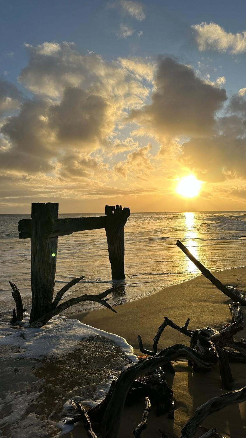 Natural landscape, Beach, Sunrise