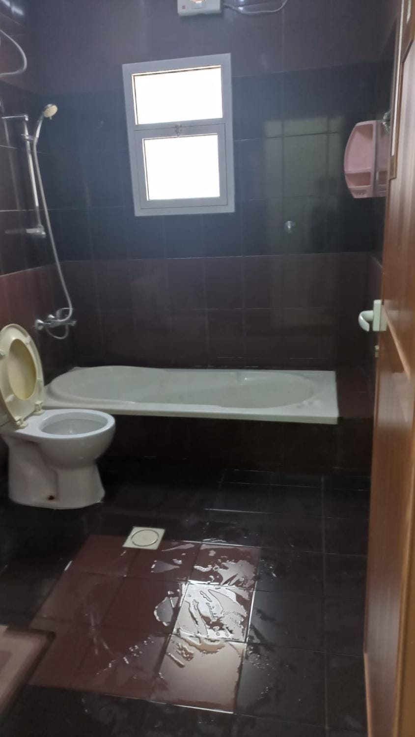 Shower, Toilet, Bathroom, Bath