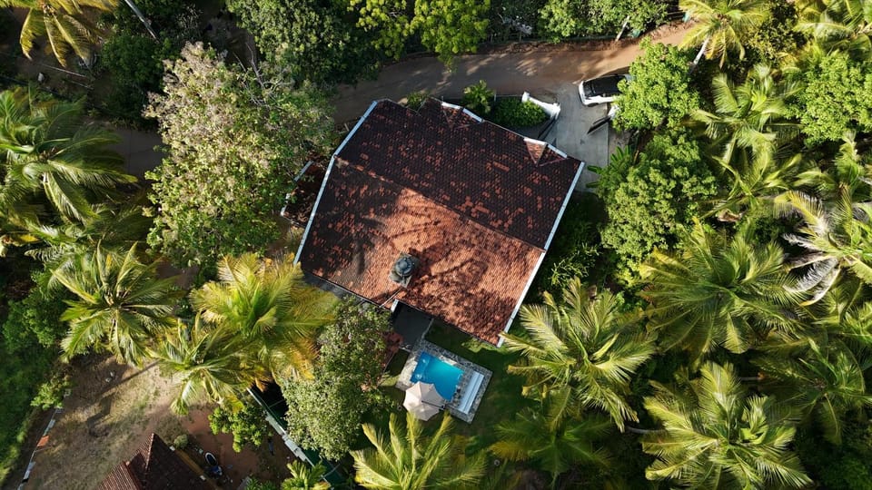 Natural landscape, Bird's eye view