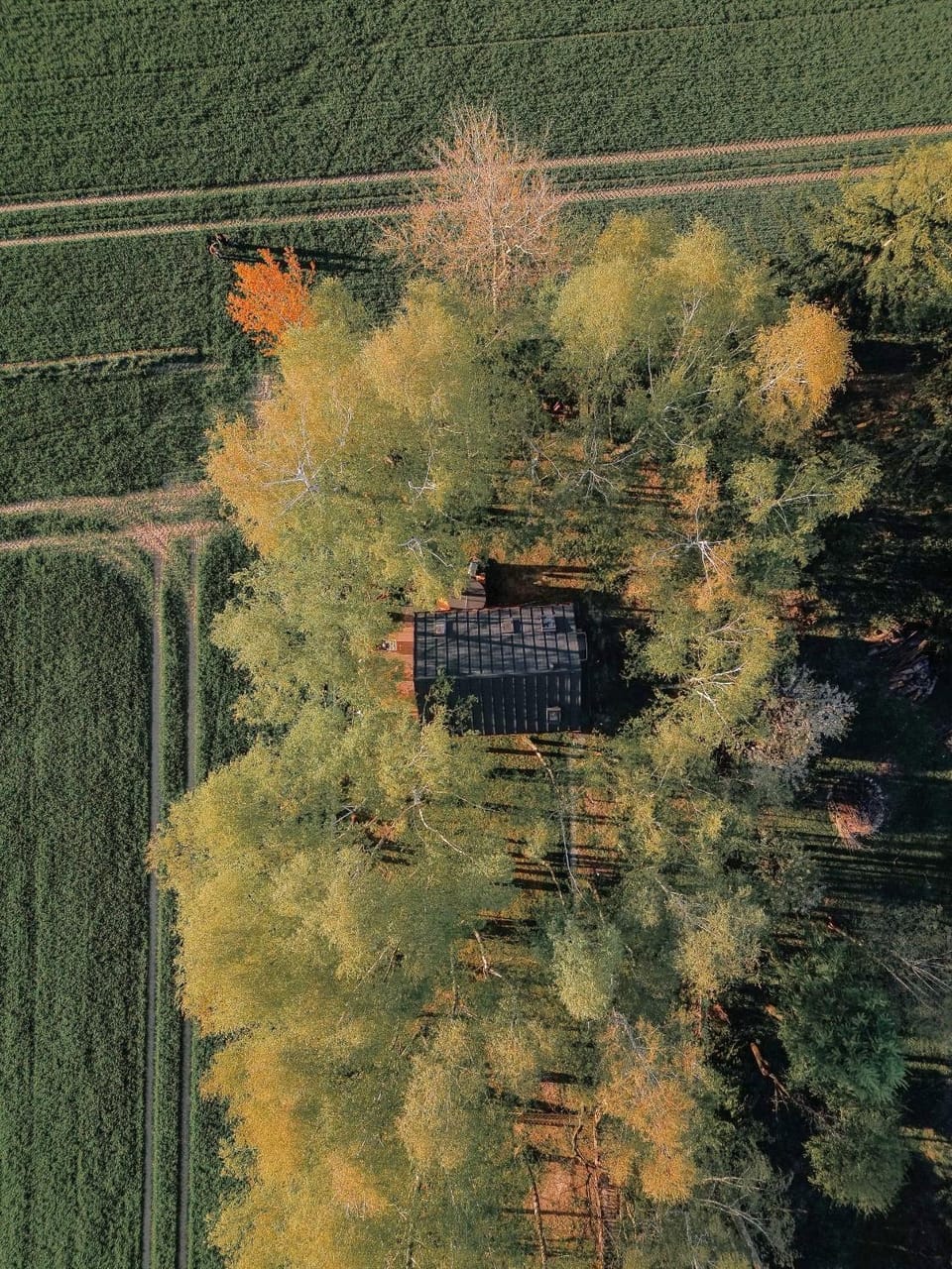 Natural landscape, Bird's eye view