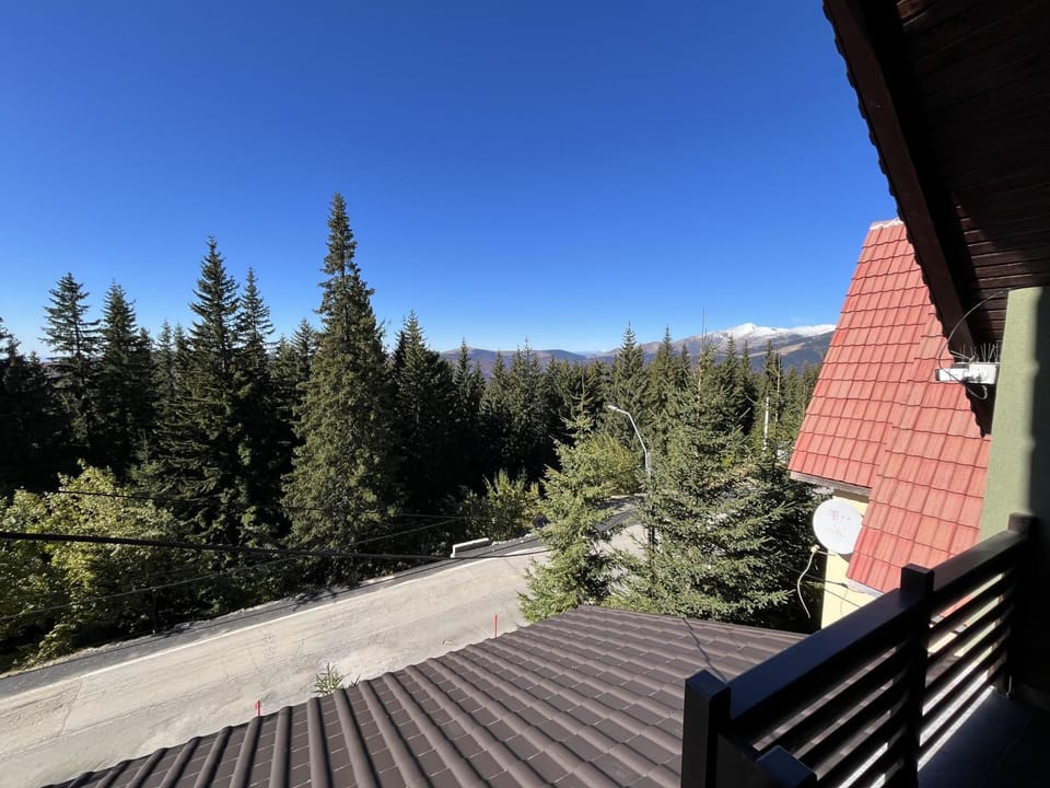 Natural landscape, View (from property/room), Balcony/Terrace, Mountain view